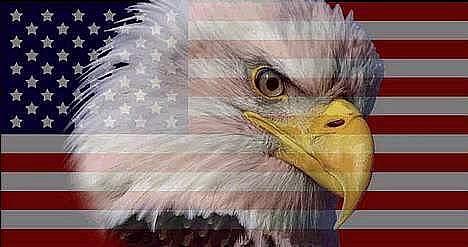 Honda SFX Repsol (SOLGT) - Team Ørn logo billede 6