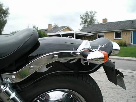 Regal Raptor SOLGT - nice bagende billede 10
