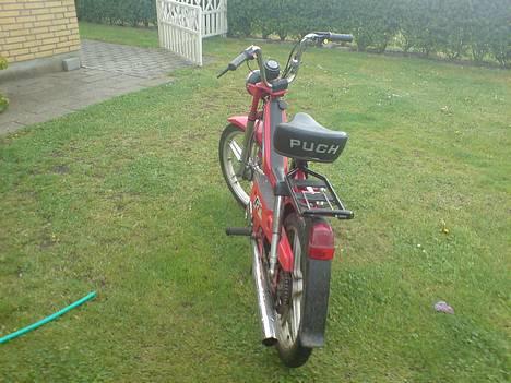 Puch Maxi P1 <\Solgt/> - Bag fra  billede 3