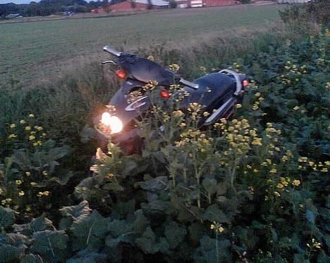 PGO Pmx sport  billede 3