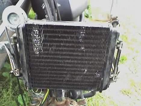 Yamaha Neo's LC [Vinterhi] billede 2