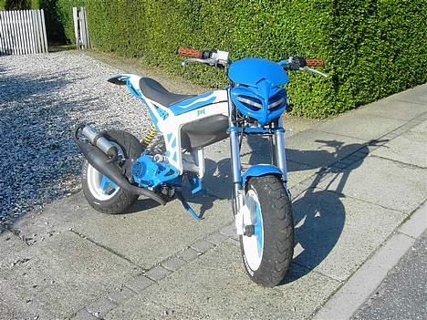 Suzuki Street Magic - Solgt billede 10