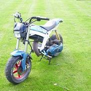 Suzuki street magic-SOLGT-