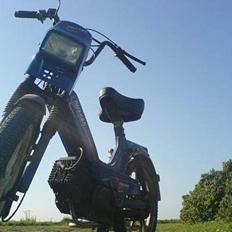 Tomos Quadro SOLGT
