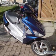 Benelli 491 tilsalg/bytte