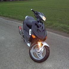 Adly   SilverFox -"SOLGT"-