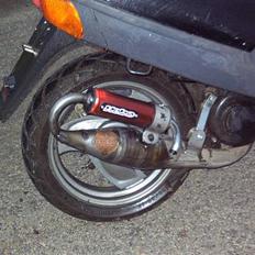 Adly   SilverFox -"SOLGT"-