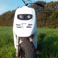 Piaggio Typhoon(Elsket og savnet)