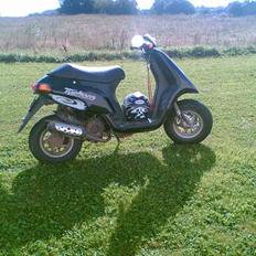 Piaggio /!\ Typhoon /!\ FØR