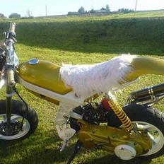 Suzuki Street Magic -STJÅLET- 