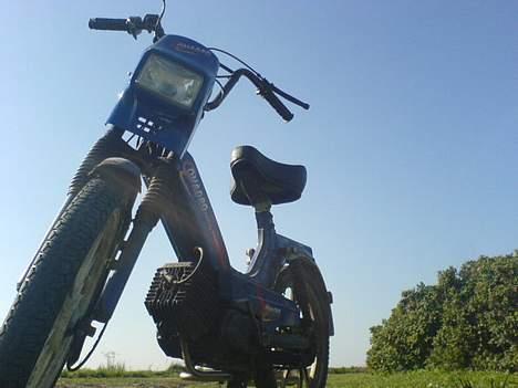 Tomos Quadro SOLGT billede 1