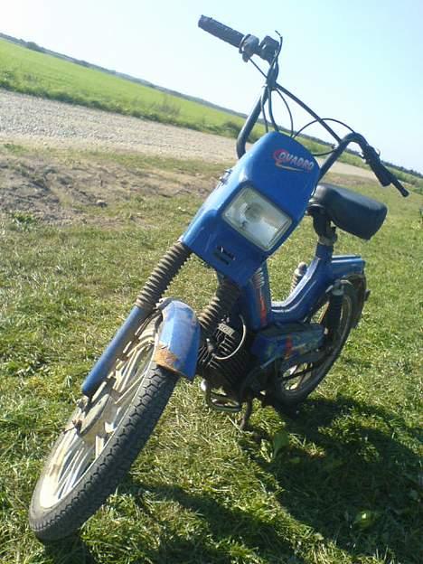 Tomos Quadro SOLGT billede 3