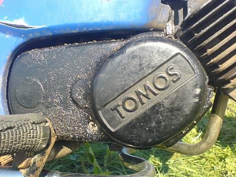 Tomos Quadro SOLGT billede 5