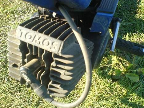 Tomos Quadro SOLGT billede 6