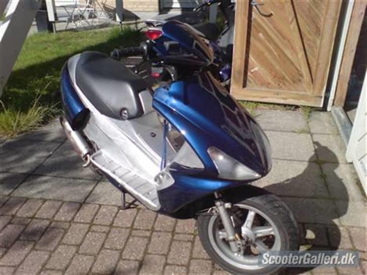 Benelli 491 tilsalg/bytte - Set fra højre side billede 1