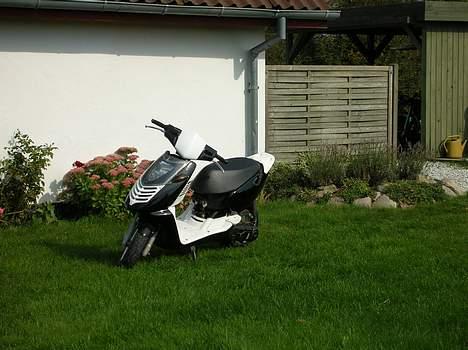 Aprilia Sonic Gp "Solgt" billede 1