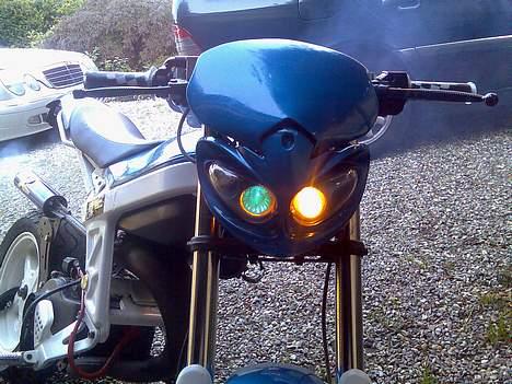 Suzuki  byt med std sonic billede 9