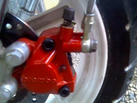 Suzuki  byt med std sonic billede 11