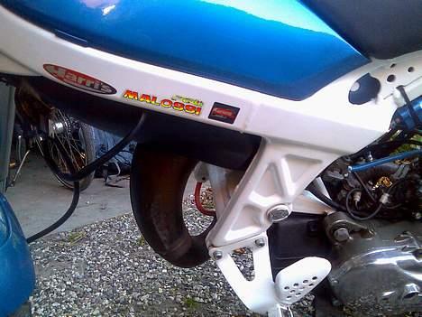 Suzuki  byt med std sonic billede 12