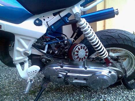 Suzuki  byt med std sonic billede 13