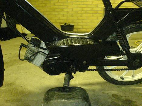 Tomos Quadro billede 11