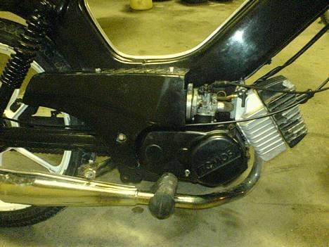 Tomos Quadro billede 12