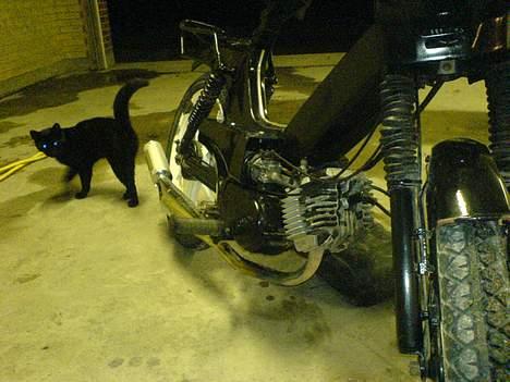 Tomos Quadro billede 13