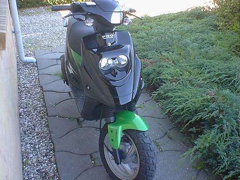 PGO Hot 50 billede 1