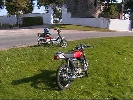 Suzuki FZ 50 - To dejlige knallerter. billede 10