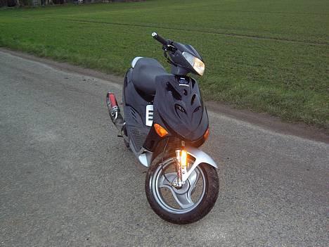 Adly   SilverFox -"SOLGT"- billede 1