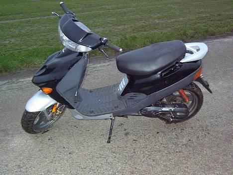 Adly   SilverFox -"SOLGT"- billede 2