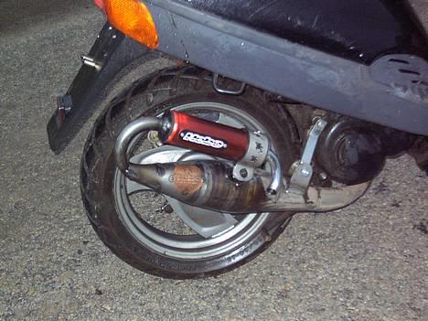 Adly   SilverFox -"SOLGT"- billede 3