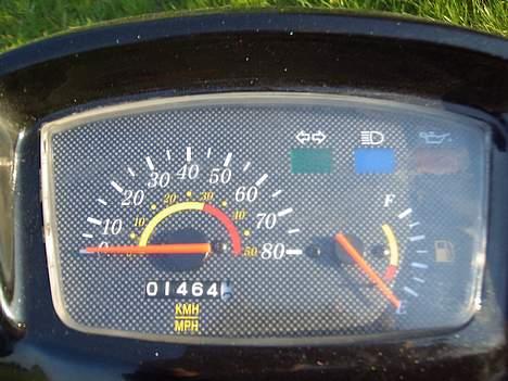 Adly   SilverFox -"SOLGT"- billede 7