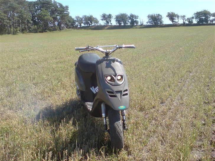 Piaggio Typhoon(Elsket og savnet) billede 6