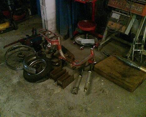 Garelli Katia billede 4