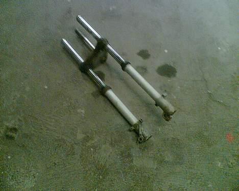 Garelli Katia - Forgaffelen til den røde billede 8