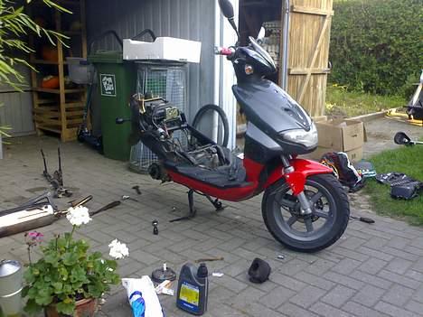 CPI Husasar -solgt- - her var mig og en kammi lige ved og pille lidt :) billede 20