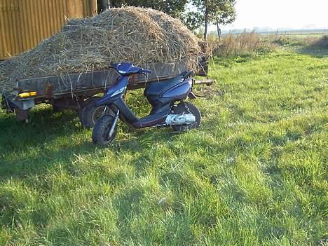 Yamaha Bws ng *FØR* billede 10