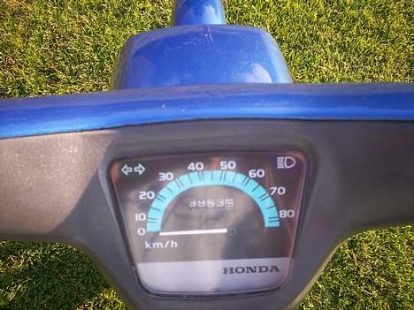 Honda Wallaroo (solgt) billede 3