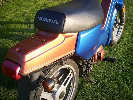 Honda Wallaroo (solgt) billede 5