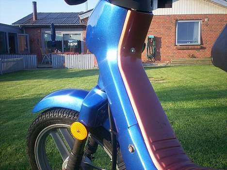 Honda Wallaroo (solgt) billede 6