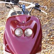 PGO hot 50// frøen!//  solgt