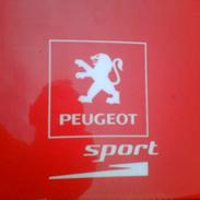 Peugeot speedfight 2 rally victor