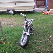 MiniBike Chopper ( SOLGT )