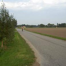 KTM 125 SX -"SOLGT"-