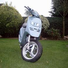 Piaggio Typhoon[SOLGT]