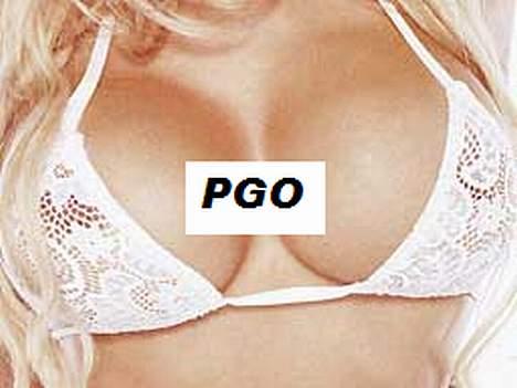 PGO Hot 50 SP billede 17