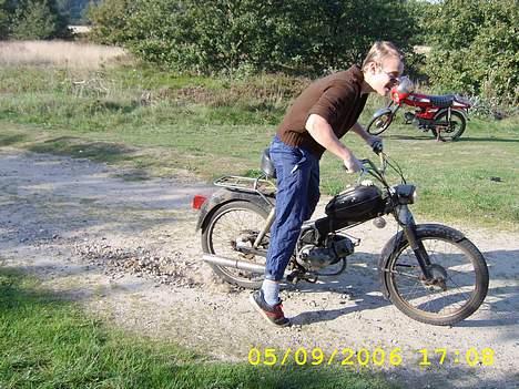 Puch MS 50 (SOLGT) billede 6