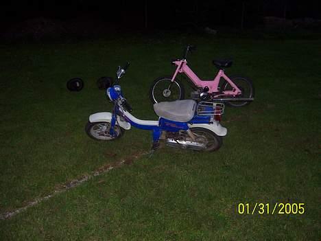 Suzuki FZ50 SOLGT billede 2