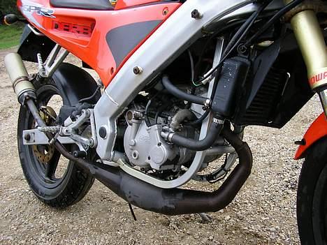 Derbi GPR LC DD Solgt billede 11